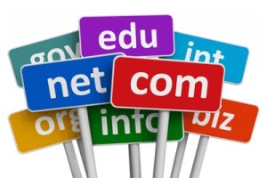 Apa Itu Domain